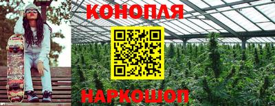 apvp Уссурийск