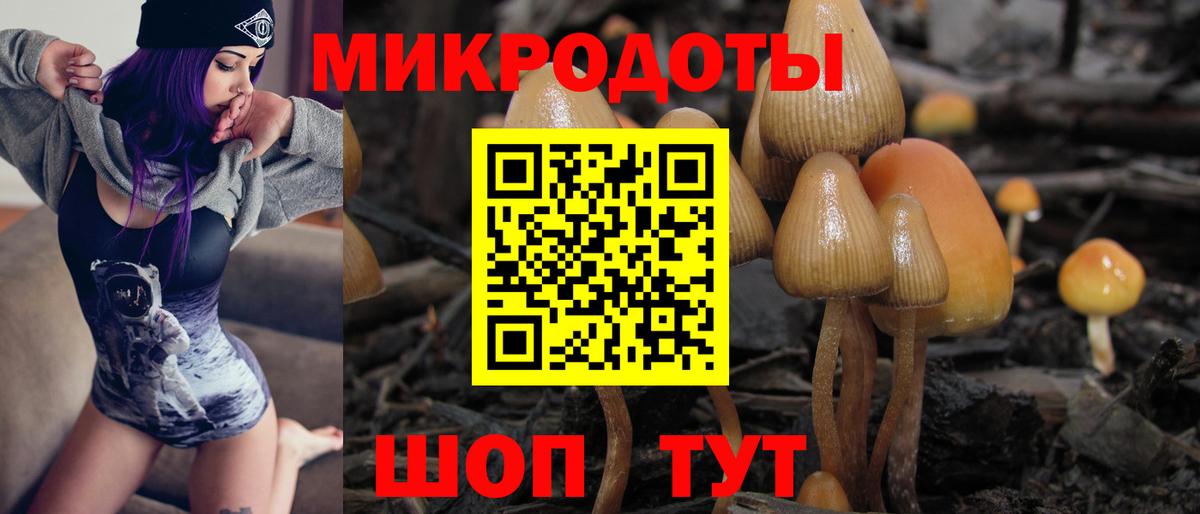 Мценск  Галлюциногенные грибы GOLDEN TEACHER  Галлюциногенные грибы Cubensis  Вход с VPN 